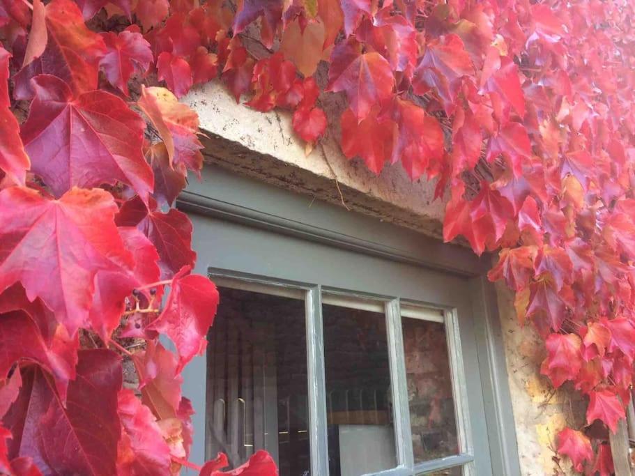 Blacksmith'S Barn - Cosy, Chilled & Dog Friendly. Wykeham  Екстер'єр фото